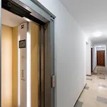 Apartamento Velarde-Maestranza
